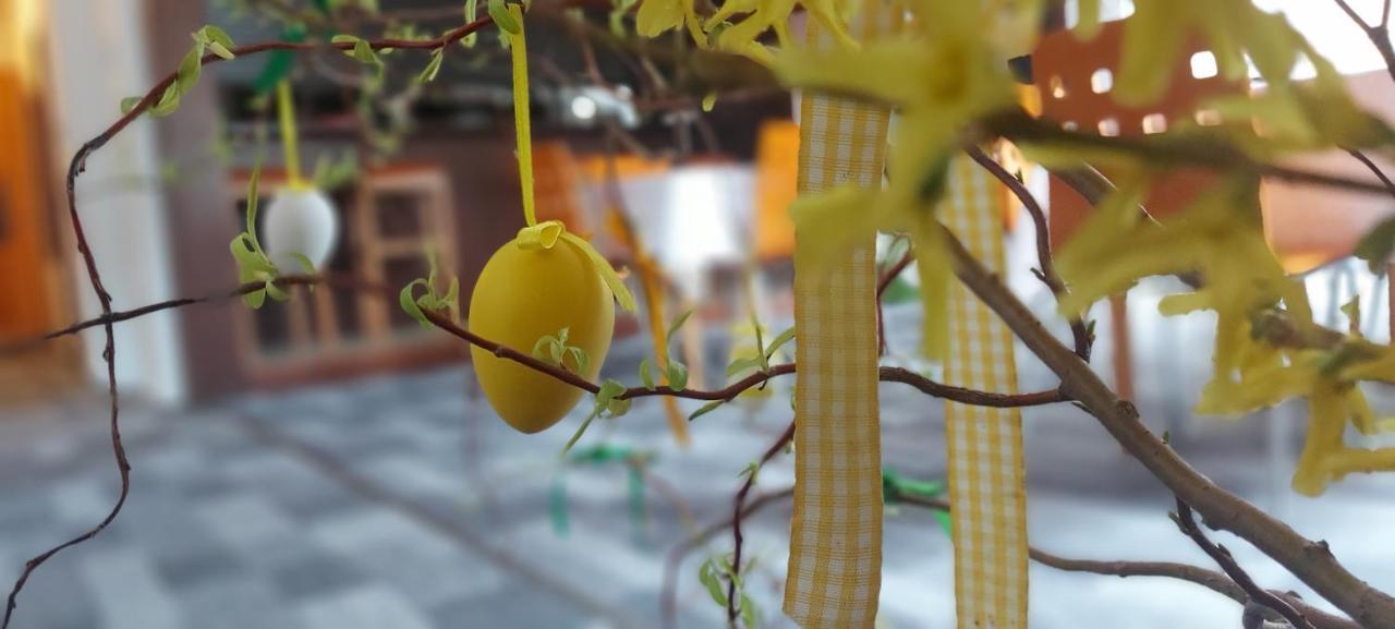 Penzion Svojanov Svojanov  Esterno foto