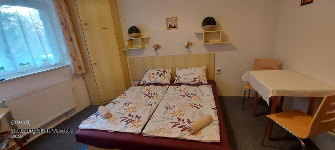 Penzion Svojanov Svojanov  Esterno foto